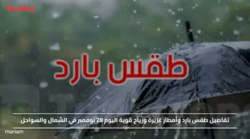 تفاصيل طقس بارد وأمطار غزيرة ورياح قوية اليوم 28 نوفمبر في الشمال والسواحل